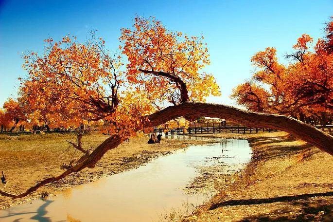 婺源宏村旅游攻略_江西婺源宏村景區(qū)介紹_宏村婺源自駕游攻略