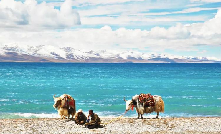 宏村婺源自駕游攻略_江西婺源宏村景區(qū)介紹_婺源宏村旅游攻略