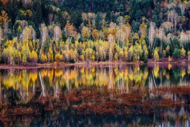 宏村婺源自駕游攻略_婺源宏村旅游攻略_江西婺源宏村景區(qū)介紹