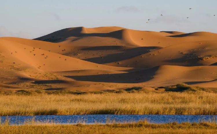 江西婺源宏村景區(qū)介紹_宏村婺源自駕游攻略_婺源宏村旅游攻略