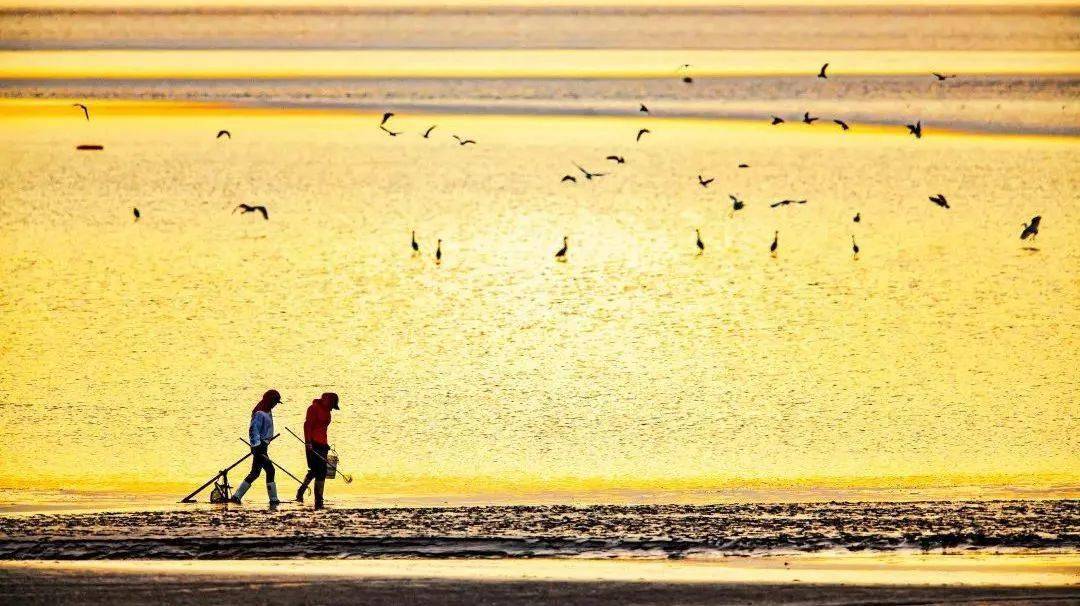 常州春秋淹城樂園攻略_常州淹城春秋樂園游樂設(shè)施_常卅淹城春秋樂園