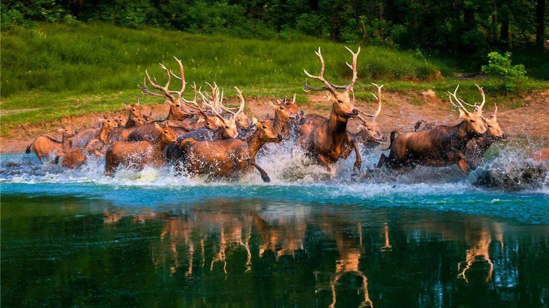 常州春秋淹城樂園攻略_常卅淹城春秋樂園_常州淹城春秋樂園游樂設(shè)施