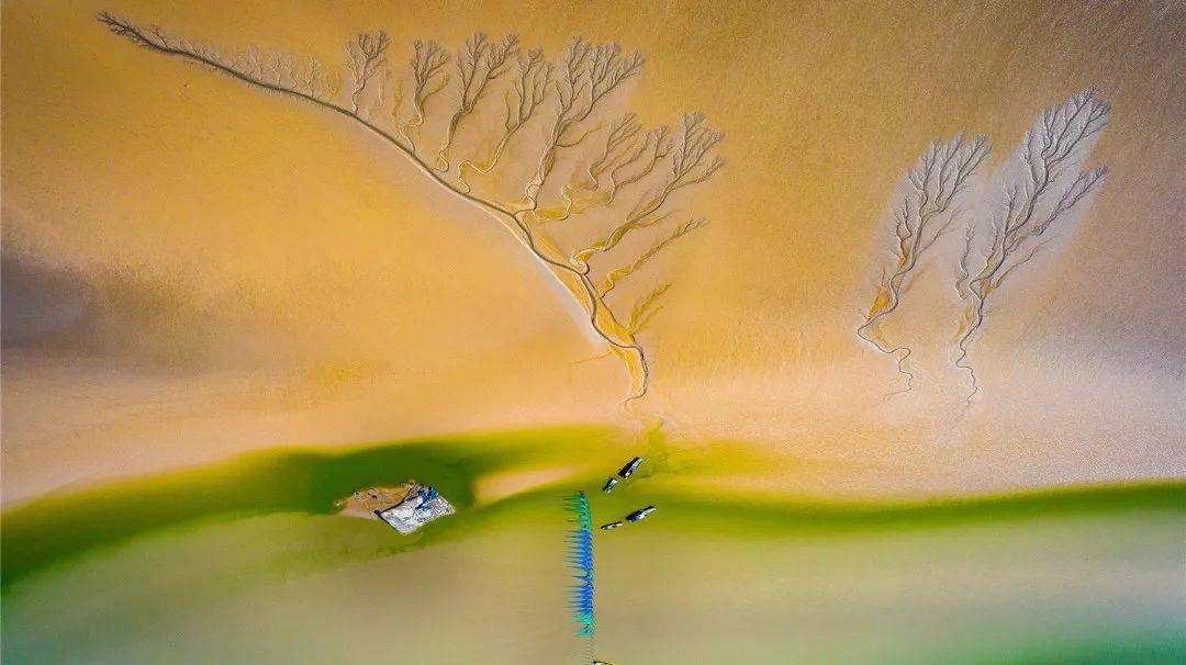 常州春秋淹城樂園攻略_常州淹城春秋樂園游樂設(shè)施_常卅淹城春秋樂園