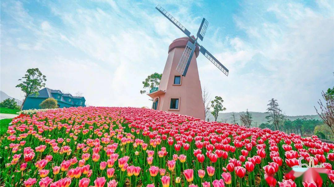 常卅淹城春秋樂園_常州春秋淹城樂園攻略_常州淹城春秋樂園游樂設(shè)施